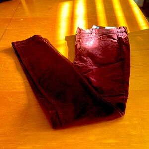 NWOT Loft Skinny Velvet Pants